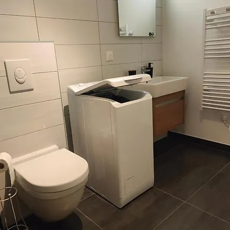 Apartment Le Petit Eden - Bale - Aeroport Saint-Louis (Haut-Rhin)