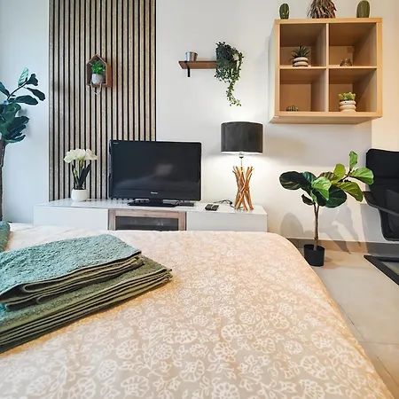 Le Petit Eden - Bale - Aeroport Apartament Saint-Louis (Haut-Rhin)
