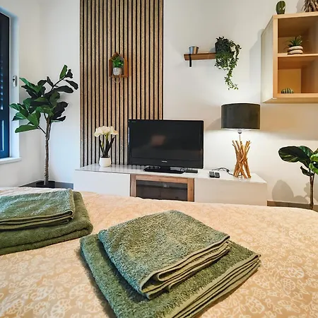 Apartment Le Petit Eden - Bale - Aeroport Saint-Louis (Haut-Rhin)