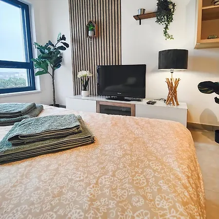 Apartment Le Petit Eden - Bale - Aeroport Saint-Louis (Haut-Rhin)
