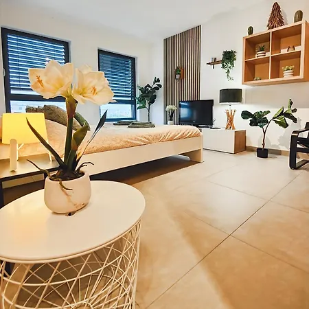 Le Petit Eden - Bâle - Aéroport * Saint-Louis (Haut-Rhin)