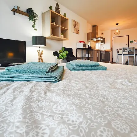 Le Petit Eden - Bale - Aeroport Apartment