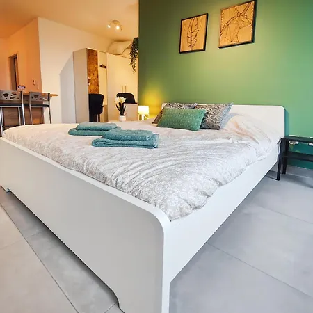 Apartment Le Petit Eden - Bale - Aeroport *