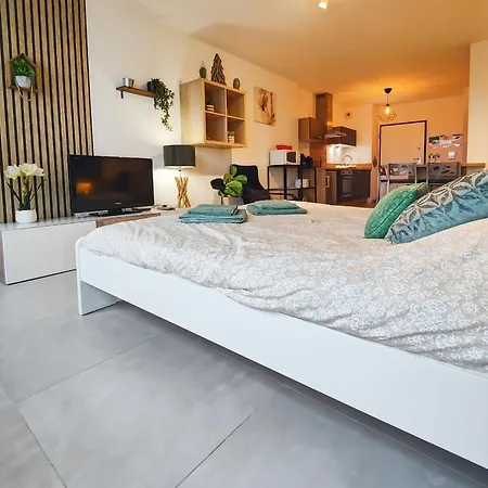 Le Petit Eden - Bale - Aeroport Apartament Saint-Louis (Haut-Rhin)
