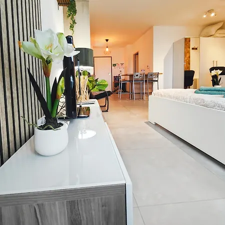 Apartment Le Petit Eden - Bale - Aeroport Saint-Louis (Haut-Rhin)