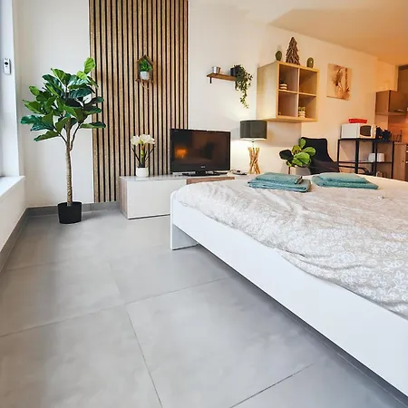 Apartment Le Petit Eden - Bale - Aeroport